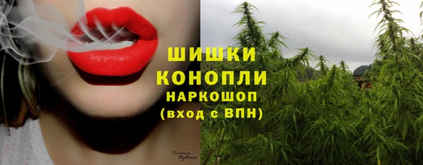 гидра Нефтегорск