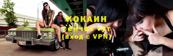 МДПВ Навашино
