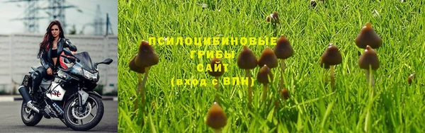 MESCALINE Надым