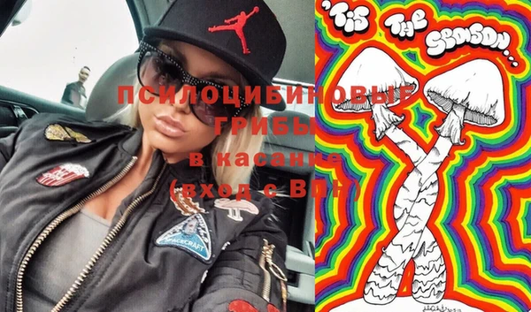 МДПВ Навашино