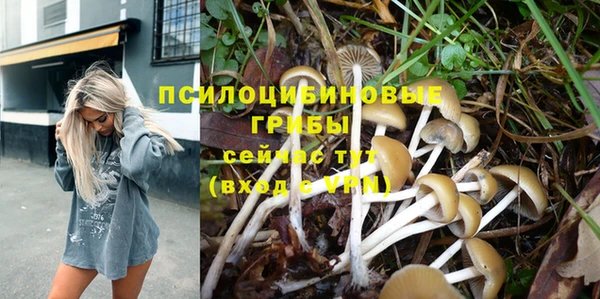 МДПВ Навашино