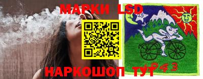 PSILOCYBIN Гатчина