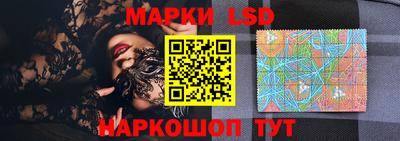 стаф Гай