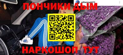 стаф Гай