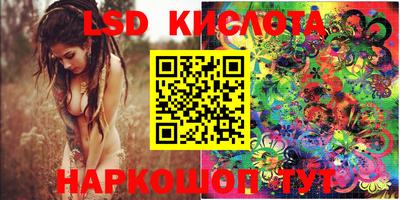 стаф Гай