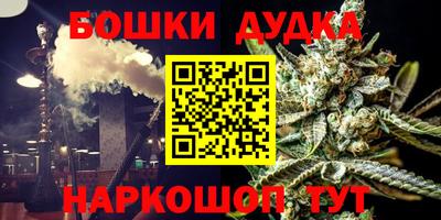 PSILOCYBIN Гатчина