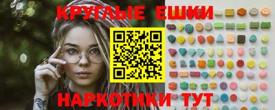 стаф Гай