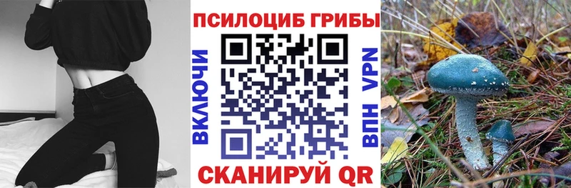 mega ССЫЛКА  Ижевск  Галлюциногенные грибы мухоморы 