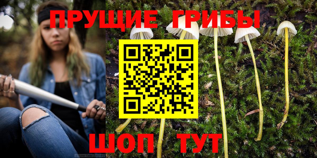 Галлюциногенные грибы GOLDEN TEACHER  Псилоцибиновые грибы Cubensis  Ижевск  Вход с VPN 