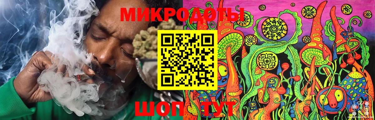 Галлюциногенные грибы Psilocybe Ижевск