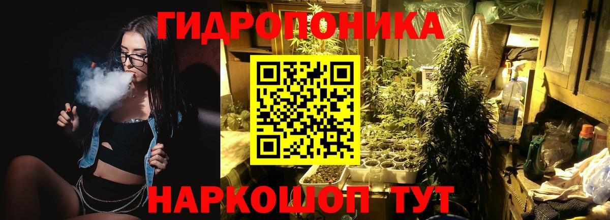 МЕФ Ижевск
